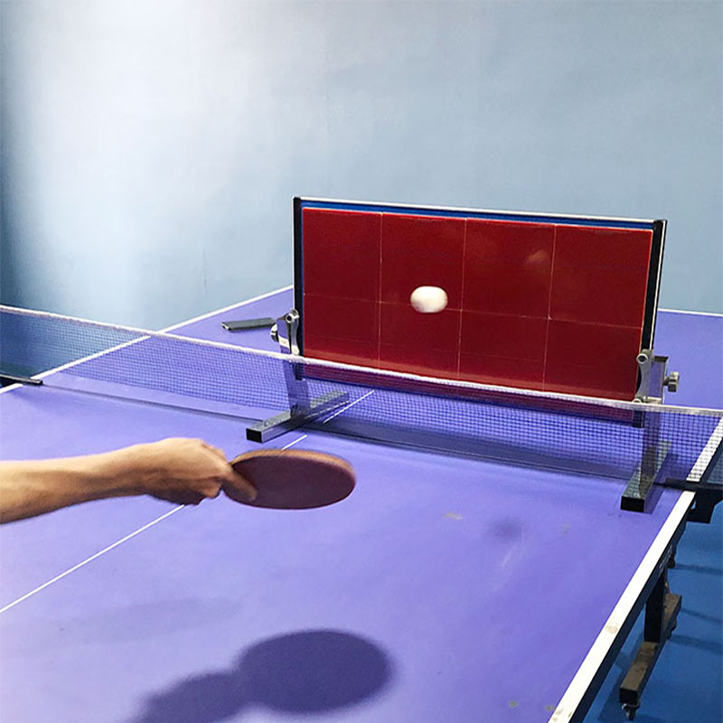 Table Tennis Player - Ev Tipi Masa Tenisi Rebound Tahtası