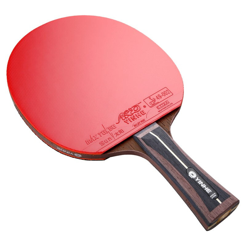Table Tennis Joola - YINHE 12 Yıldızlı Raket Galaxy Arbalest
