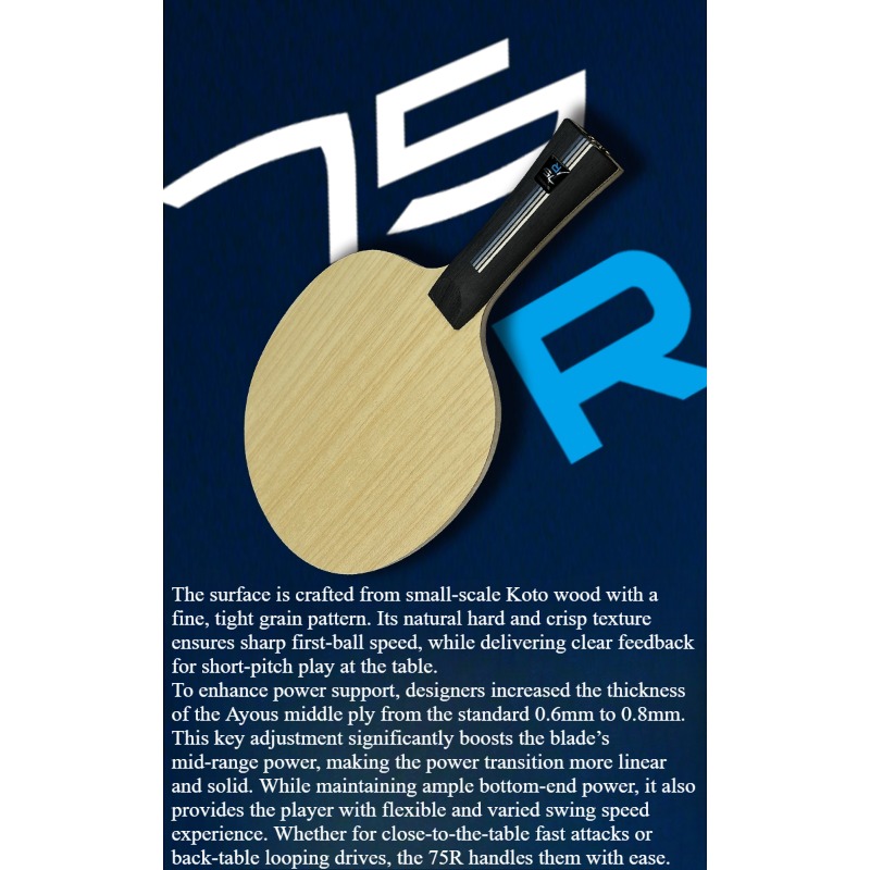 SANWEI 75R 5+2 Dış H-GLC Masa  - Table Tennis Paddle incelemesi ve fiyatı